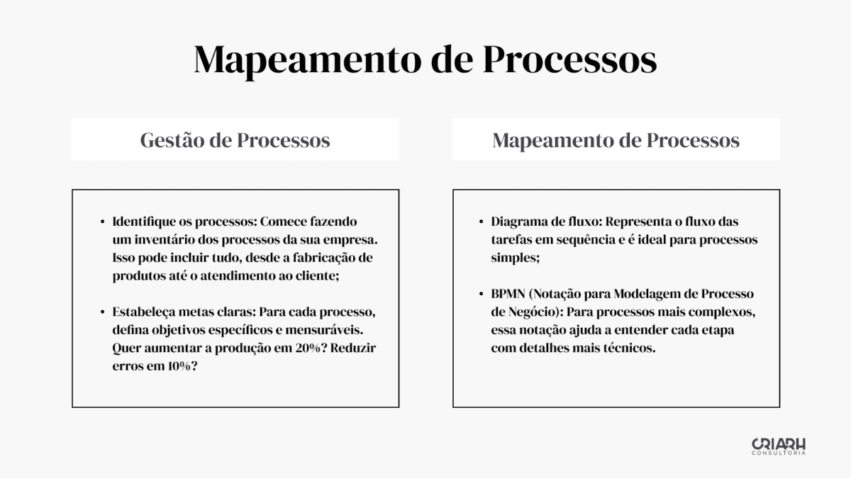 Descrição: Mapeamento de processos de gestão.