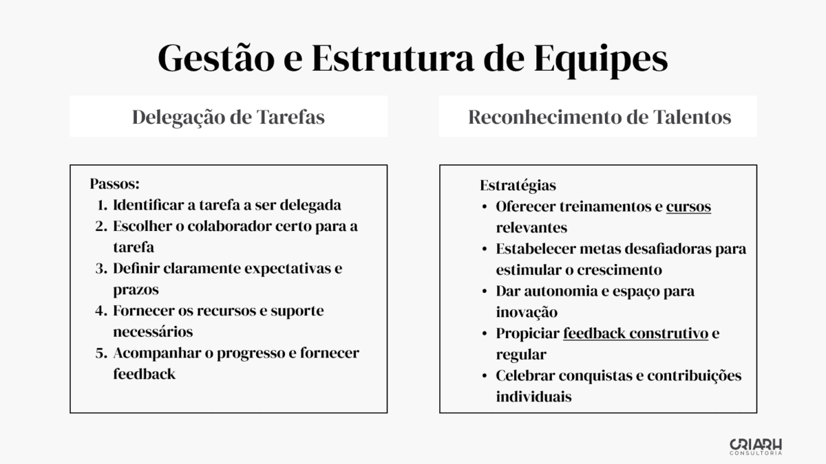 Um diagrama com as palavras liderança técnica e estrutura de equipes.