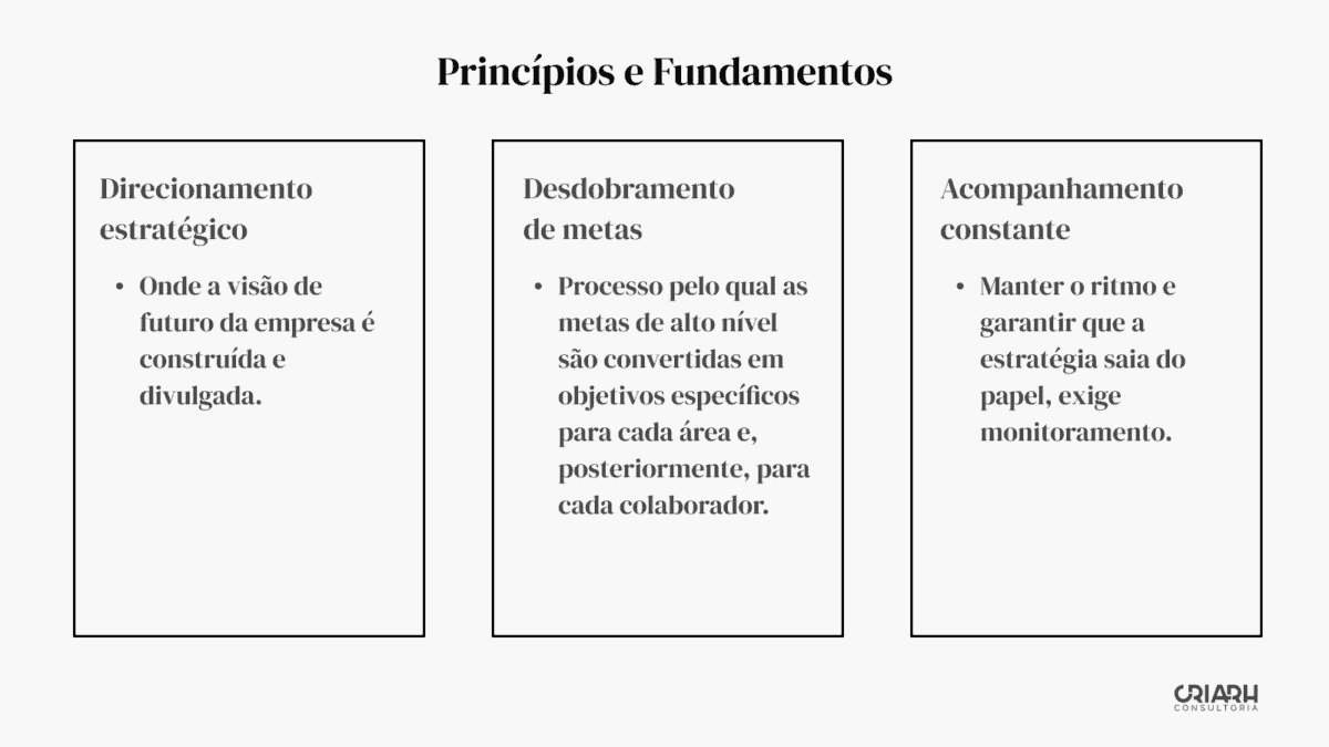 Princípios e fundamentos de gestão por diretrizes.